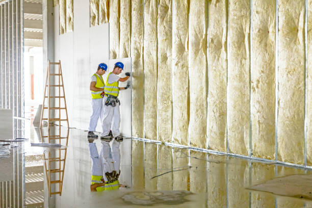 Best Residential Insulation in Merrill, WI